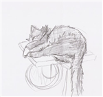 chat
